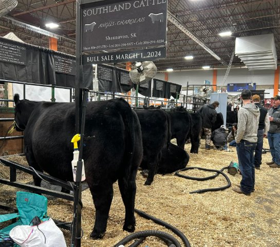 pasture